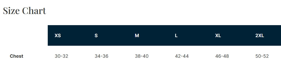 OVERSTOCK -Champion® Heritage 6-Oz. Jersey Tee